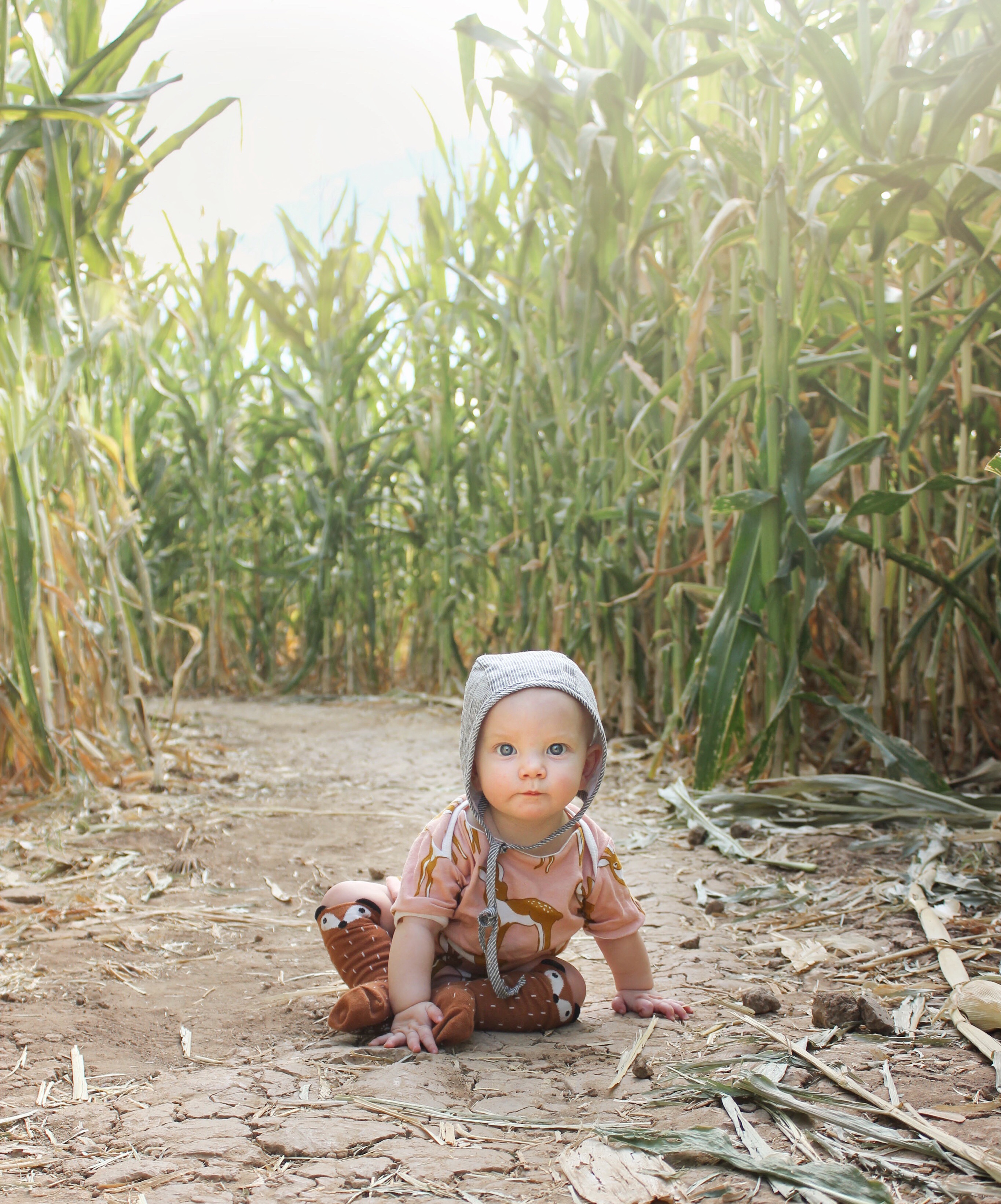 Lovely Little Wanderings